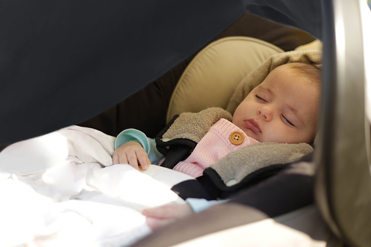Pram And Car Seat Sleeping Bag Temo